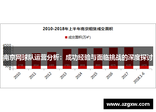 南京网球队运营分析：成功经验与面临挑战的深度探讨